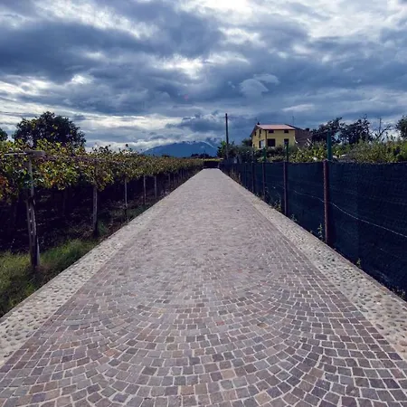 Borgo Agrituristico Il Pino Holiday home *