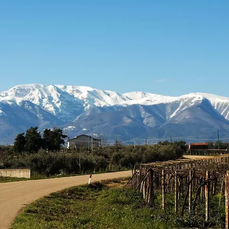 Borgo Agrituristico Il Pino