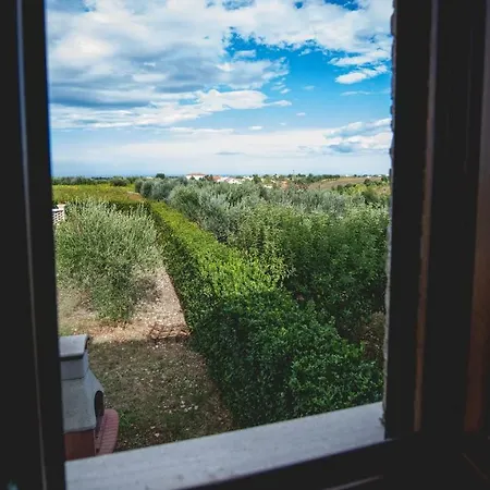 Borgo Agrituristico Il Pino Crecchio